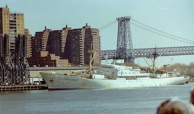 TROPICAL MOON General Cargo IMO 6523169