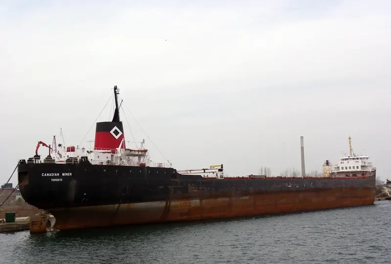 MINER Bulk Carrier IMO 6601674 photo 2