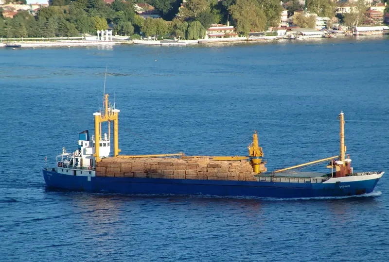 LAYLA I General Cargo IMO 6602290 photo 3