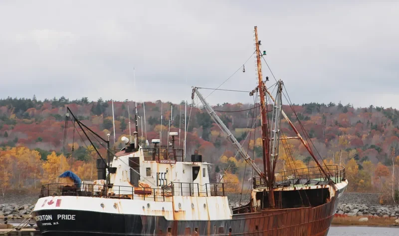 BICKERTON PRIDE General Cargo IMO 6604028