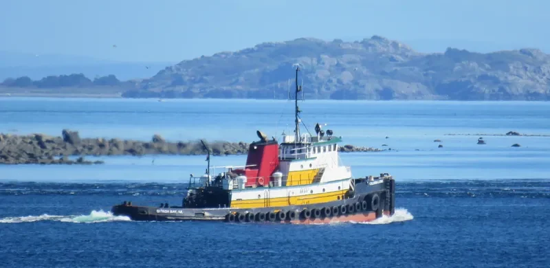 COLUMBIA LAYNE General Cargo IMO 6604810 photo 9