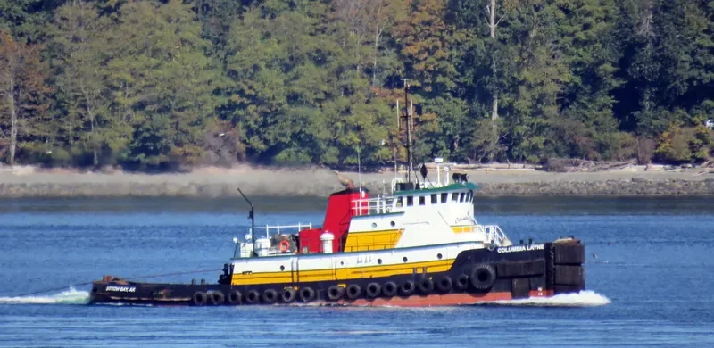 COLUMBIA LAYNE General Cargo IMO 6604810 photo 10