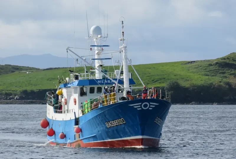 MEABAN General Cargo IMO 6604860