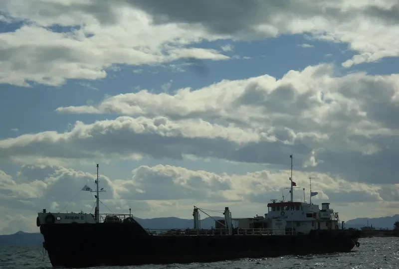GOLDEN QUEEN General Cargo IMO 6606222 photo 5
