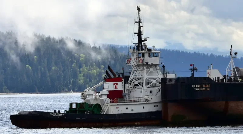 ISLAND MONARCH General Cargo IMO 6608414 photo 3