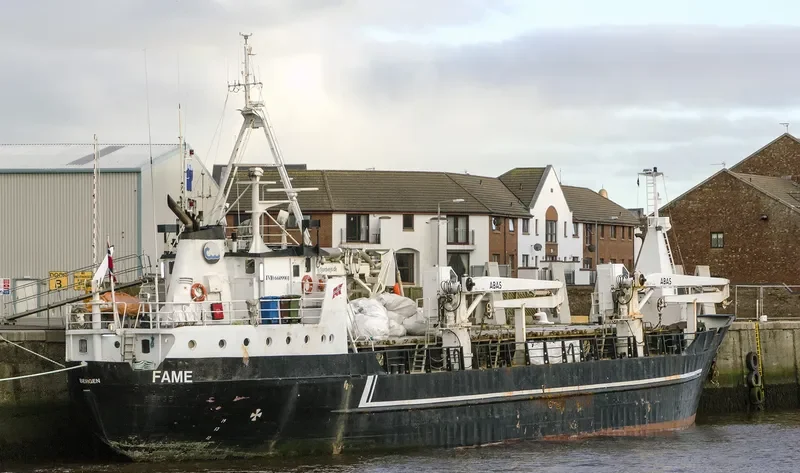 FAME General Cargo IMO 6609901 photo 7