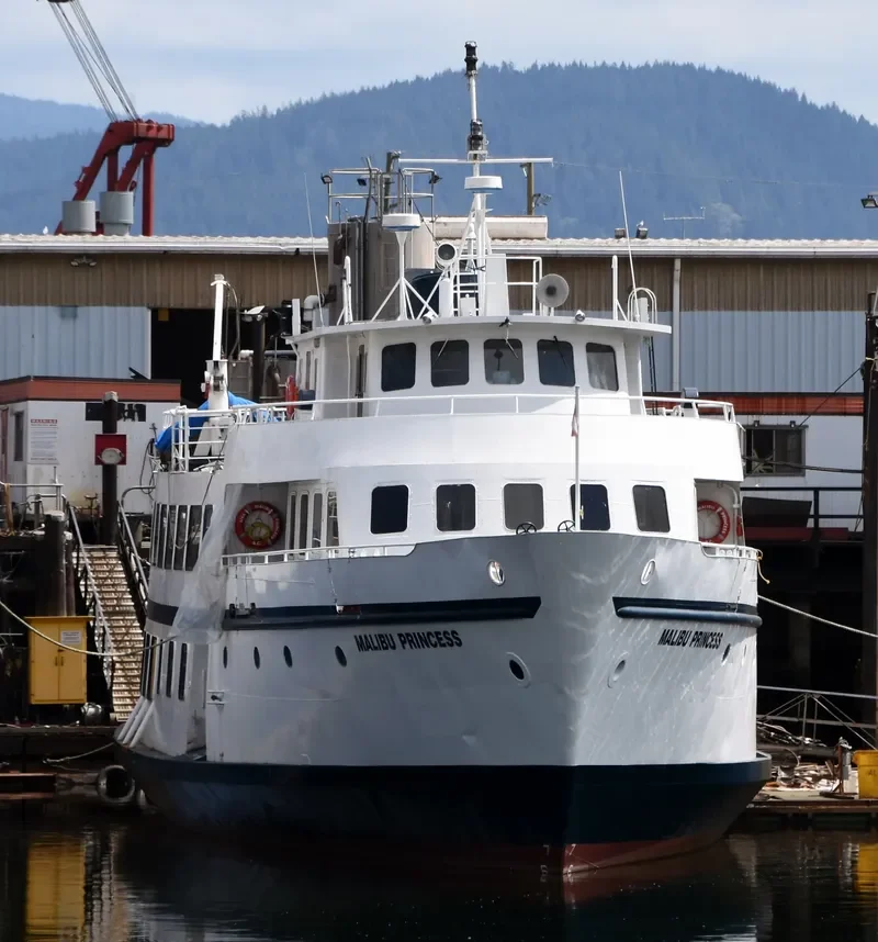 MALIBU PRINCESS Passenger Ship IMO 6611215 photo 8