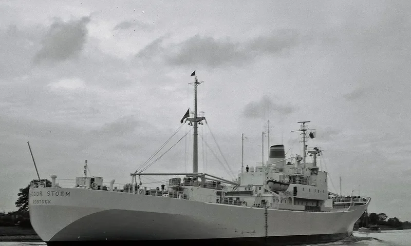 THEODOR STORM General Cargo IMO 6612130 photo 2
