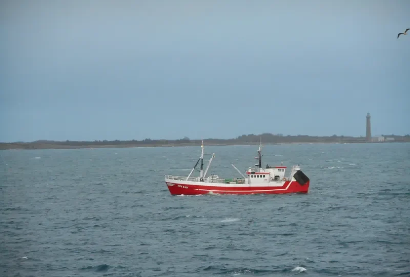 SIGNET General Cargo IMO 6612178