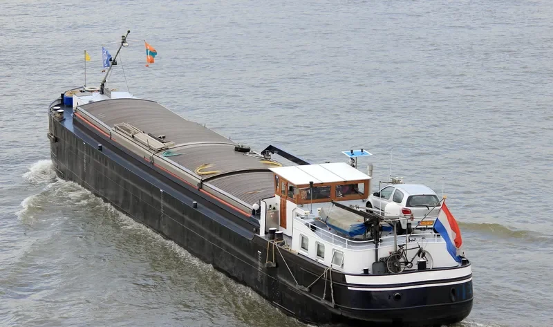 ROXANA Bulk Carrier IMO 6612439