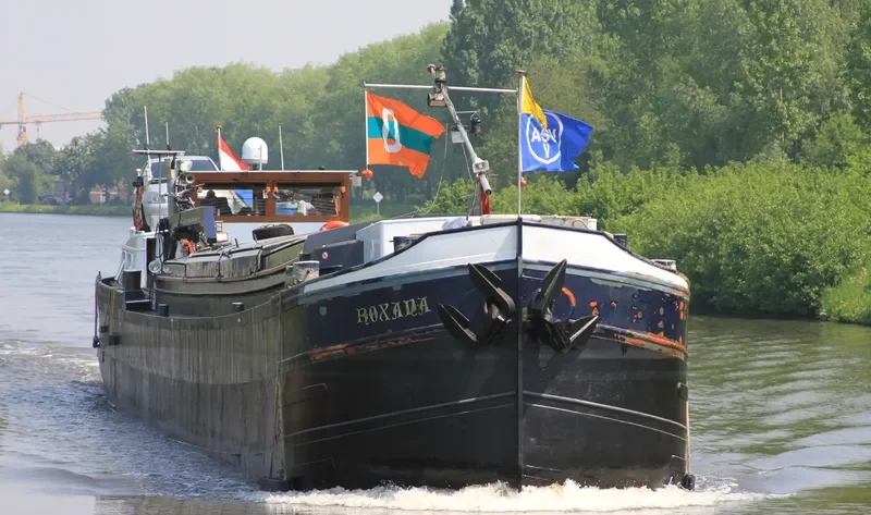 ROXANA Bulk Carrier IMO 6612439 photo 2