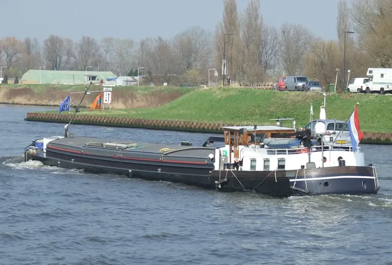 ROXANA Bulk Carrier IMO 6612439 photo 3