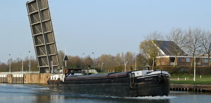 ROXANA Bulk Carrier IMO 6612439 photo 7