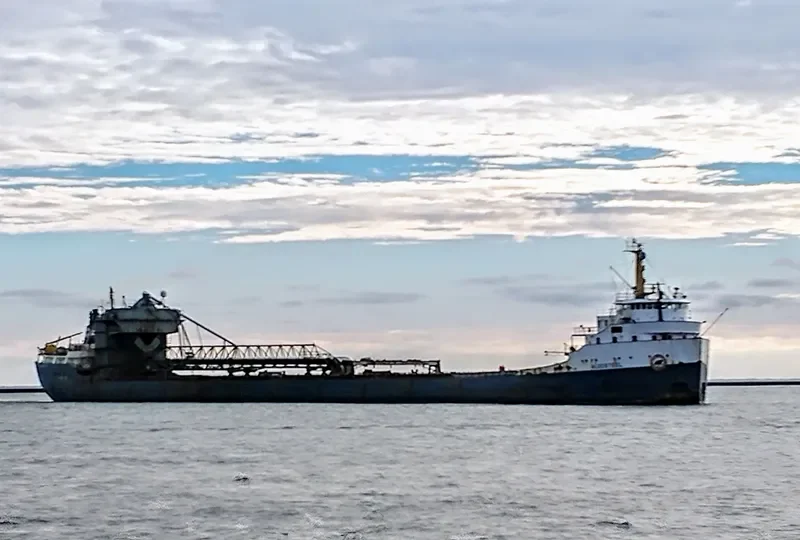 ALGOSTEEL Bulk Carrier IMO 6613299 photo 5