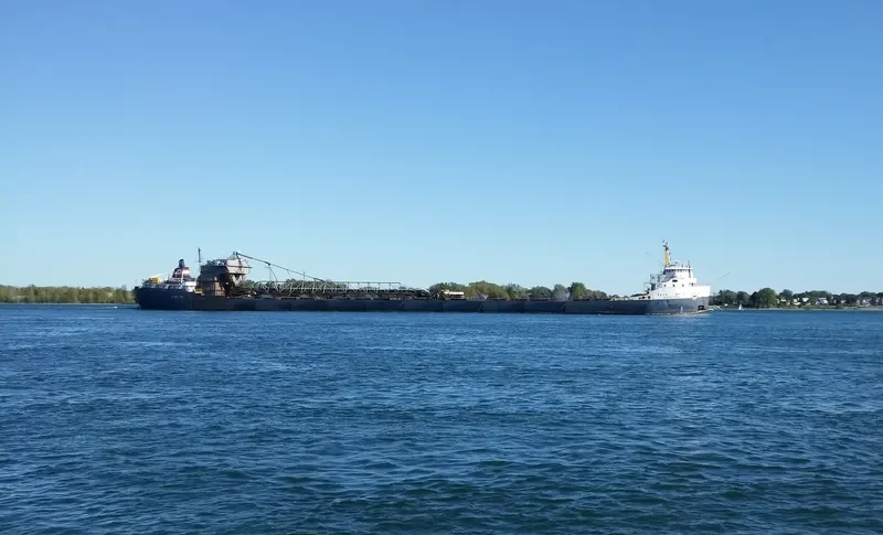 ALGOSTEEL Bulk Carrier IMO 6613299 photo 8
