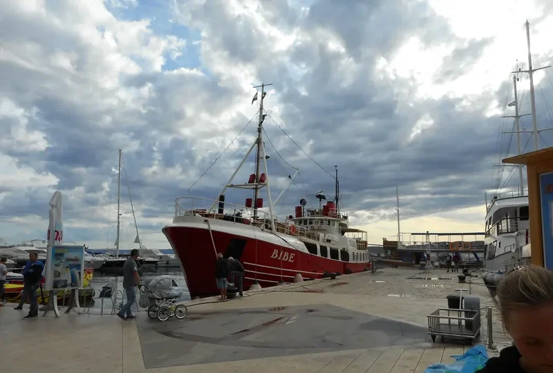 BIBE General Cargo IMO 6613598 photo 2
