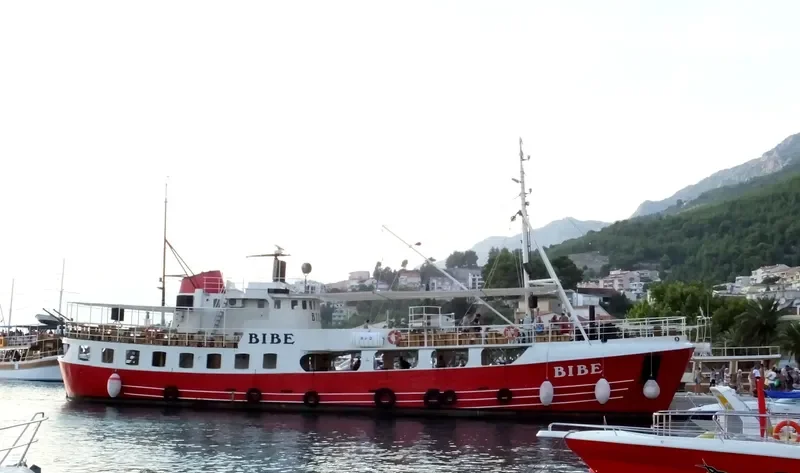 BIBE General Cargo IMO 6613598 photo 4