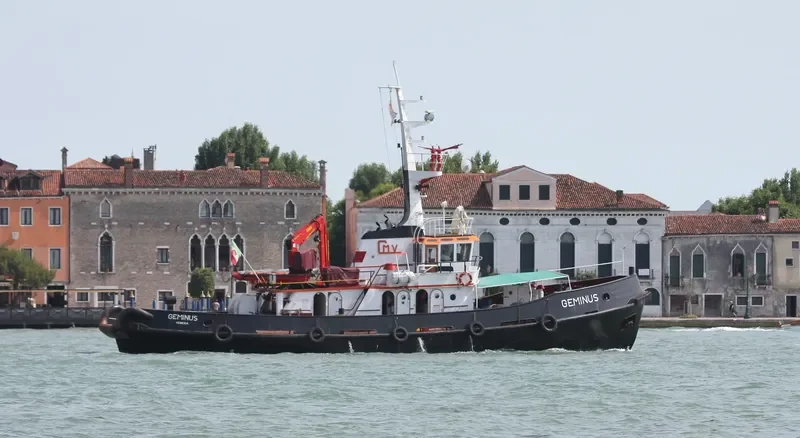 GEMINUS General Cargo IMO 6613926