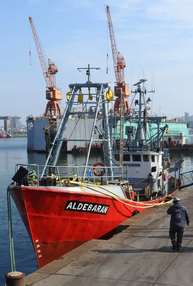 ALDEBARAN General Cargo IMO 6615091 photo 2