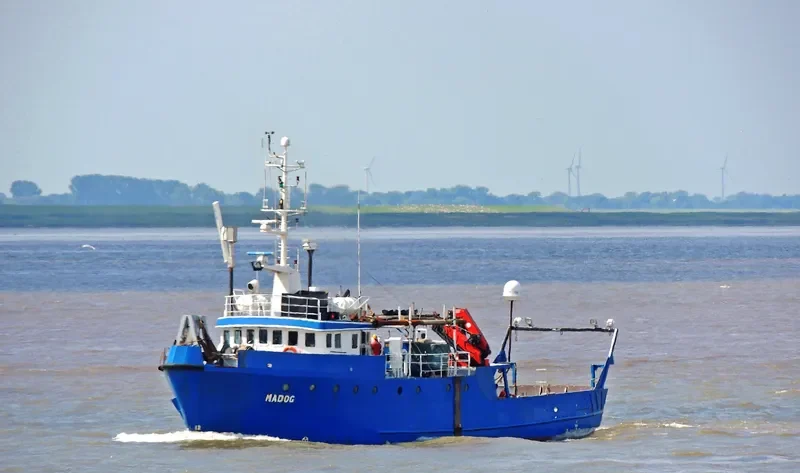 MADOG General Cargo IMO 6615467 photo 3