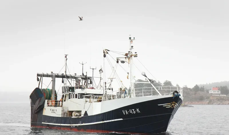MERSEY General Cargo IMO 6616332