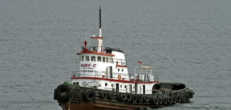 AY CUMANA General Cargo IMO 6618146
