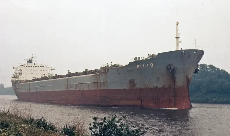 WELFARE Bulk Carrier IMO 6619968
