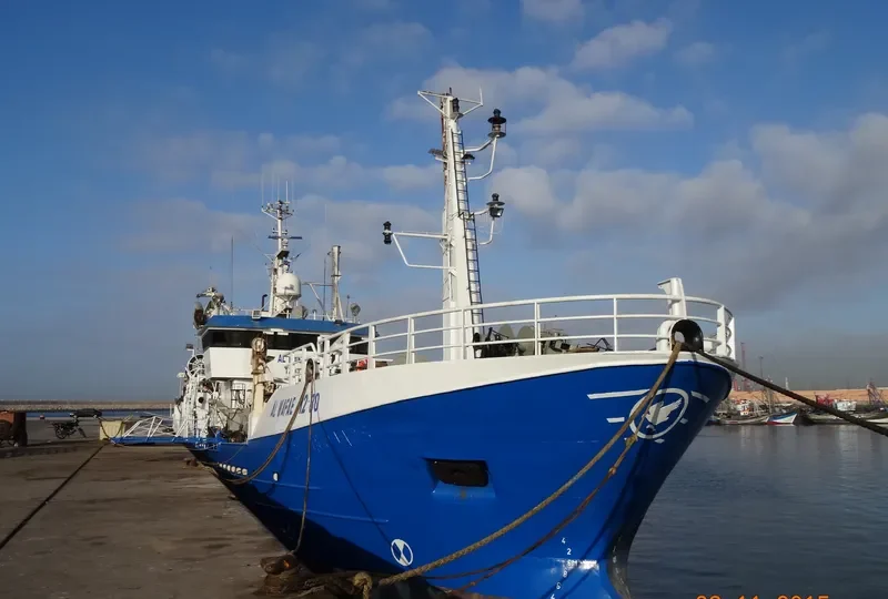AL WAFAE General Cargo IMO 6620084