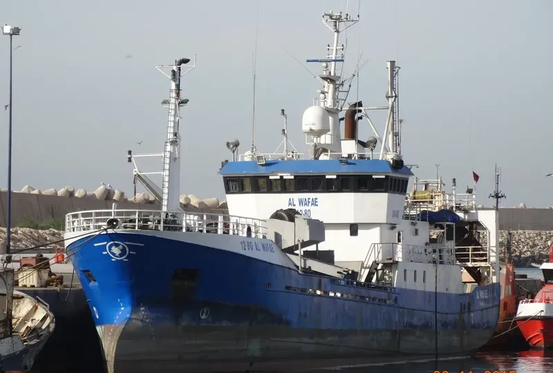AL WAFAE General Cargo IMO 6620084 photo 2