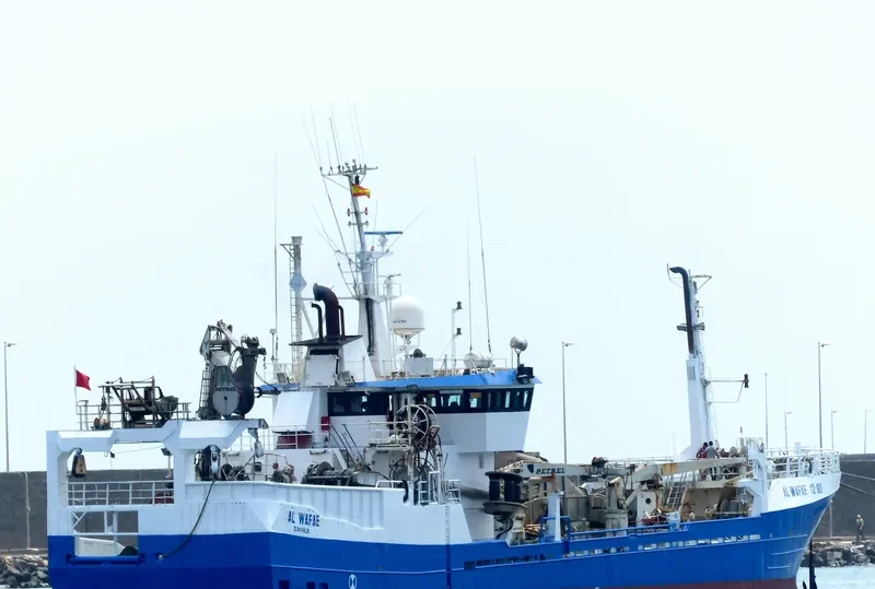 AL WAFAE General Cargo IMO 6620084 photo 3