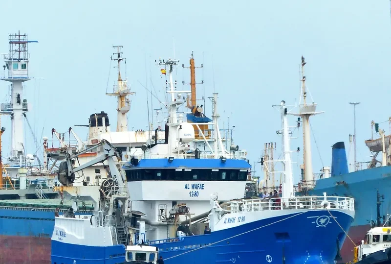 AL WAFAE General Cargo IMO 6620084 photo 4