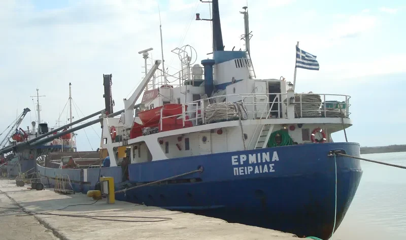 ERMINA General Cargo IMO 6620228 photo 5