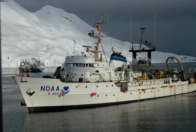 MILLER FREEMAN General Cargo IMO 6621636