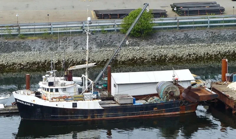 SHARLENE K. General Cargo IMO 6621648 photo 2