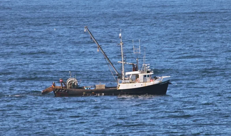 SHARLENE K. General Cargo IMO 6621648 photo 3