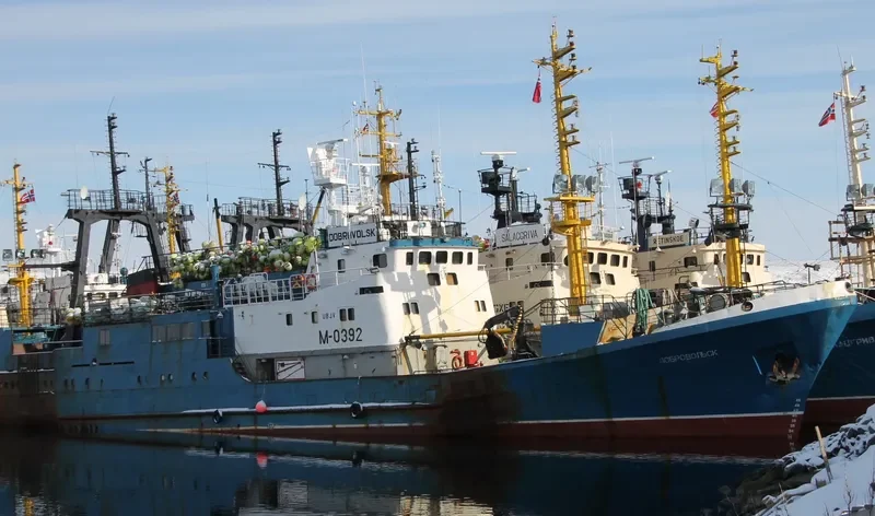 DOBROVOLSK General Cargo IMO 6701149