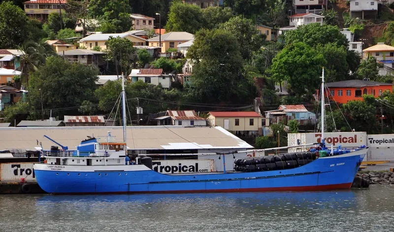 LADY FAZEELA General Cargo IMO 6702064 photo 5