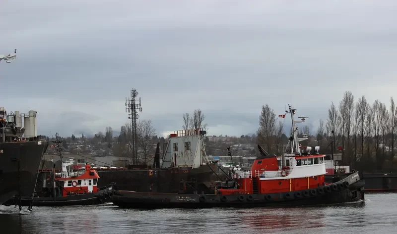 SEA WARRIOR General Cargo IMO 6703123 photo 3