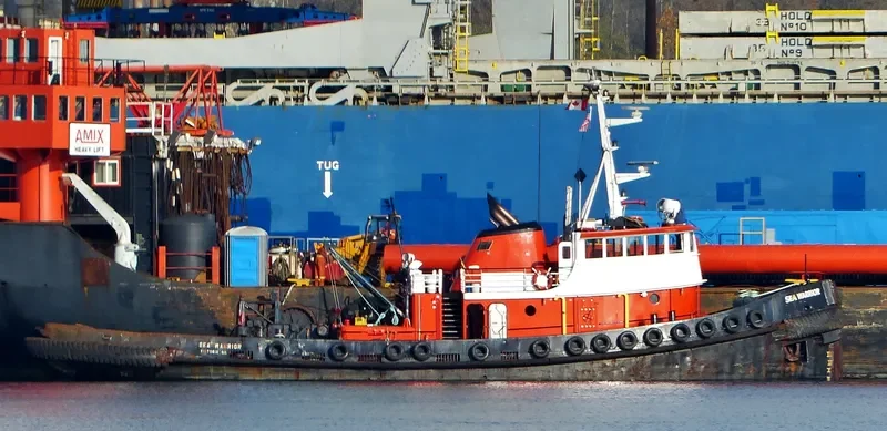 SEA WARRIOR General Cargo IMO 6703123 photo 9
