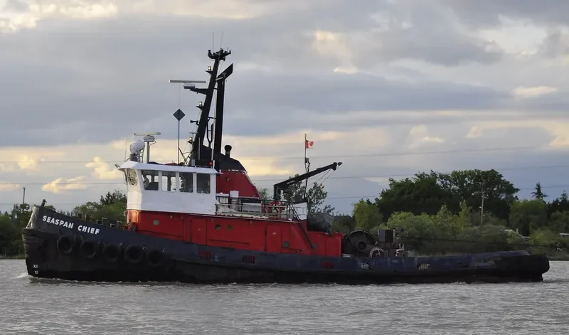 SEASPAN CHIEF General Cargo IMO 6704866 photo 4