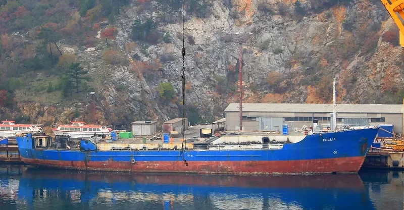 FOLLIA General Cargo IMO 6705224 photo 3