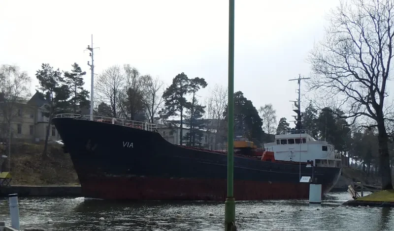 VIA General Cargo IMO 6705298
