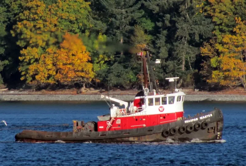 SEASPAN MASTER General Cargo IMO 6705913 photo 2