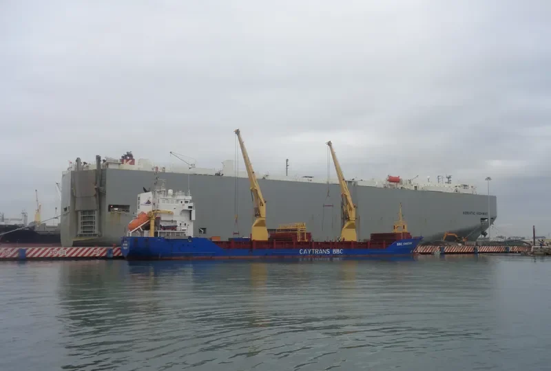 CAYTRANS CARIBE General Cargo IMO 6706852