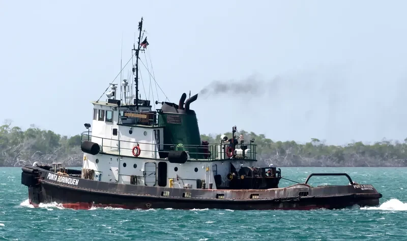 PUNTA BORINQUEN General Cargo IMO 6707105 photo 6