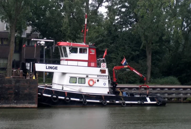 LINGE General Cargo IMO 6707193 photo 3