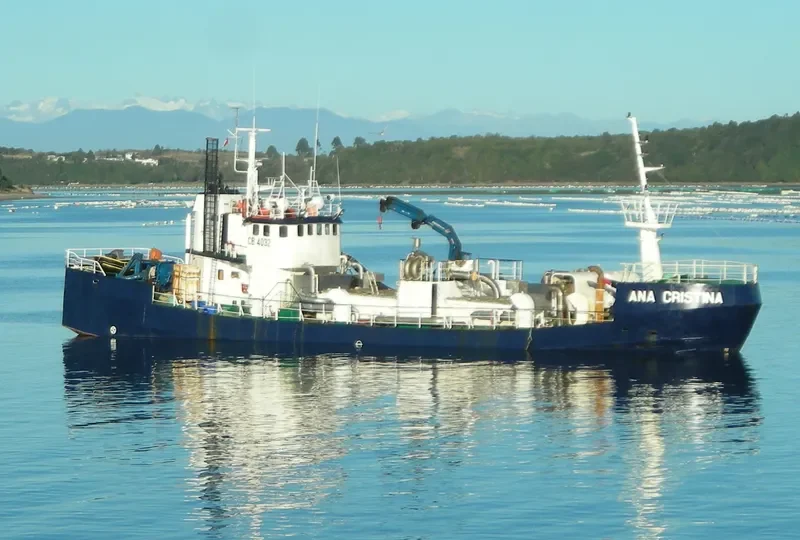 ANA CRISTINA General Cargo IMO 6707959