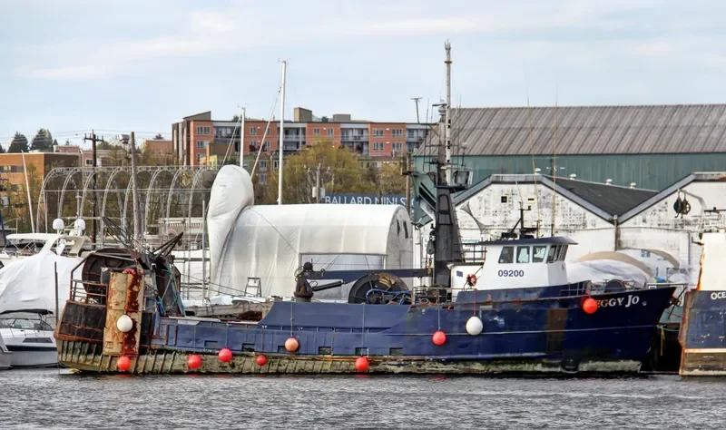 PEGGY JO General Cargo IMO 6708484