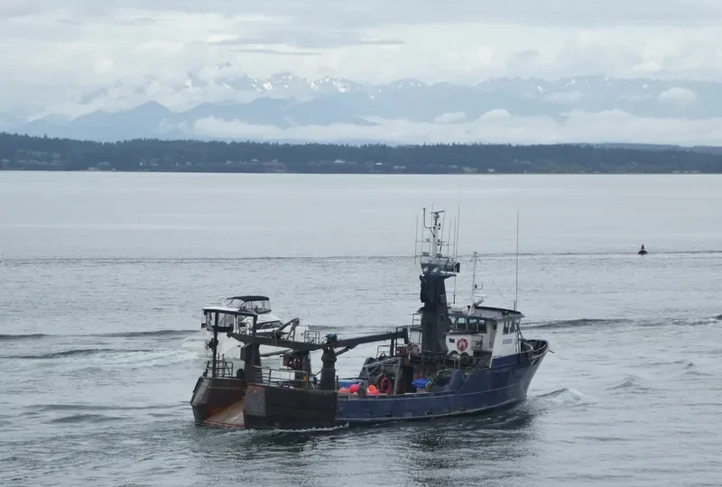 PEGGY JO General Cargo IMO 6708484 photo 5