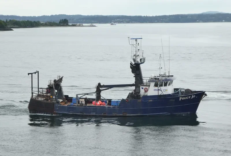 PEGGY JO General Cargo IMO 6708484 photo 6